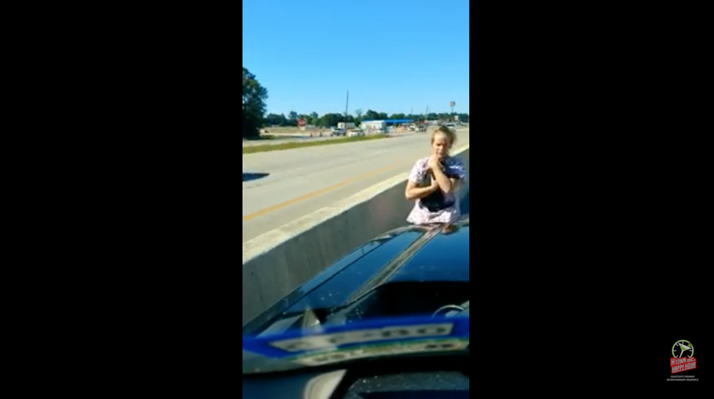 Video: Hero Woman Stops in Busy Traffic to Save a Cat Stuck on the Freeway